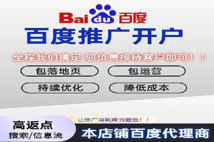 百度SEO推广公司案例解析：揭秘关键词优化技巧